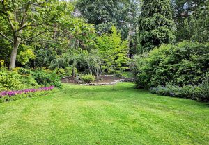 Optimiser l'expérience du jardin à Moncourt